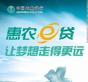 农业银行惠农e贷最全错误代码解析