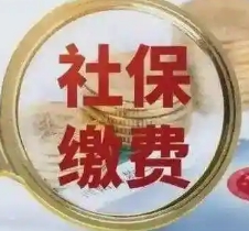 用人单位和劳动者必须依法参加社会保险,缴纳社保费。