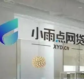 小雨点小贷回应被罚背后：官网产品利率展示“模糊” 本息罚金综合超24%