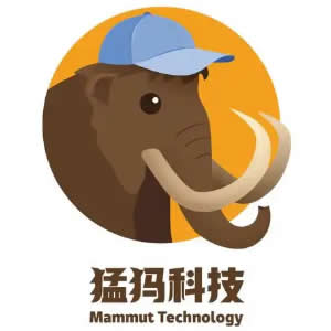 上海猛犸信息服务有限公司