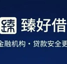 “臻好借”背后三家小贷公司“接力”备案，多款“马甲”App已下架