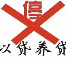 8万滚到30万的真相，本质恐怖的以贷养贷
