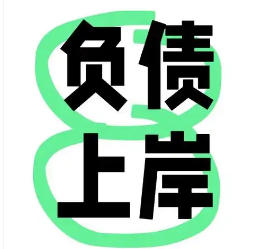 全面剖析负债人负债的类型和差异性
