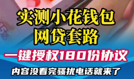 两家小贷被暂停网贷资格，分别关联小花钱包和造艺网络