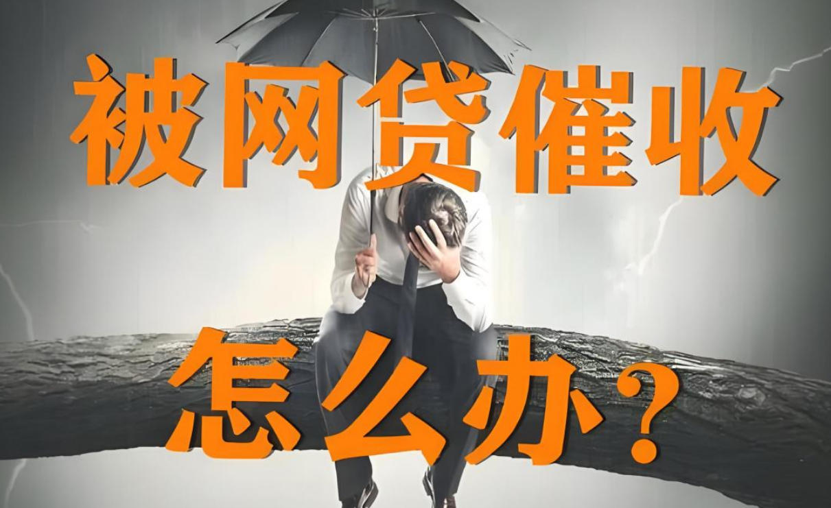 网贷为啥只催收不起诉？真相是什么？